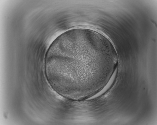 X0000101171533200807071210