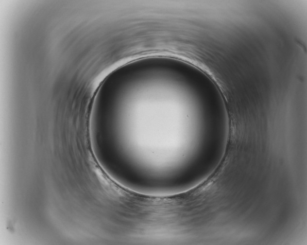 X0000101171534200807071210