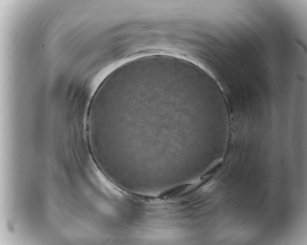 X0000101171535200807071210
