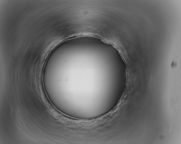 X0000101170001200807111103
