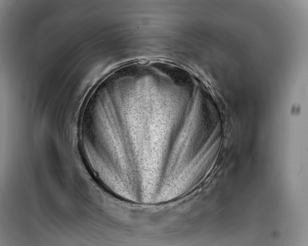 X0000101170002200807111103
