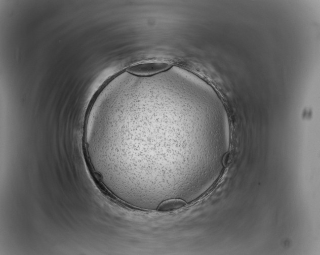 X0000101170003200807111103