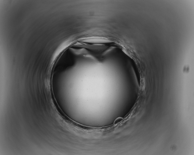 X0000101170004200807111103