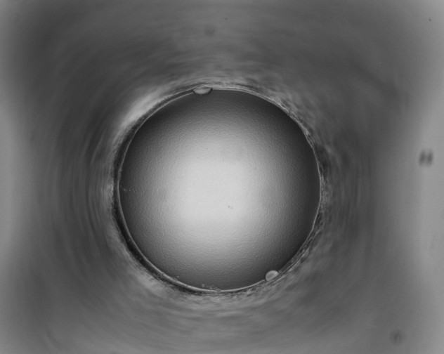 X0000101170005200807111103