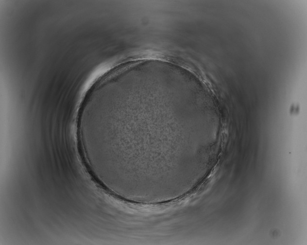 X0000101170006200807111103
