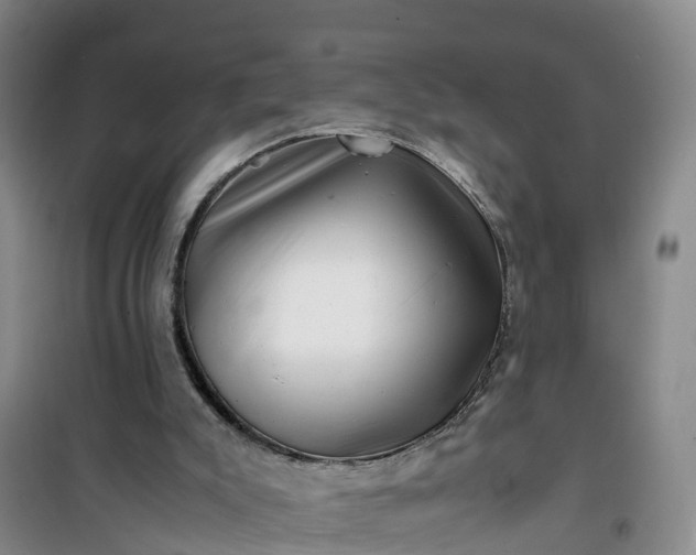 X0000101170007200807111103