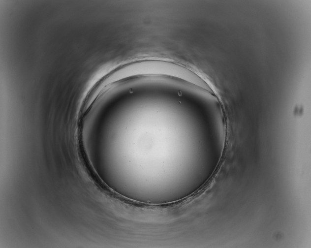 X0000101170008200807111103