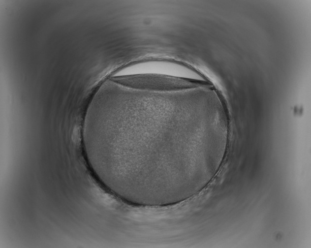 X0000101170009200807111103