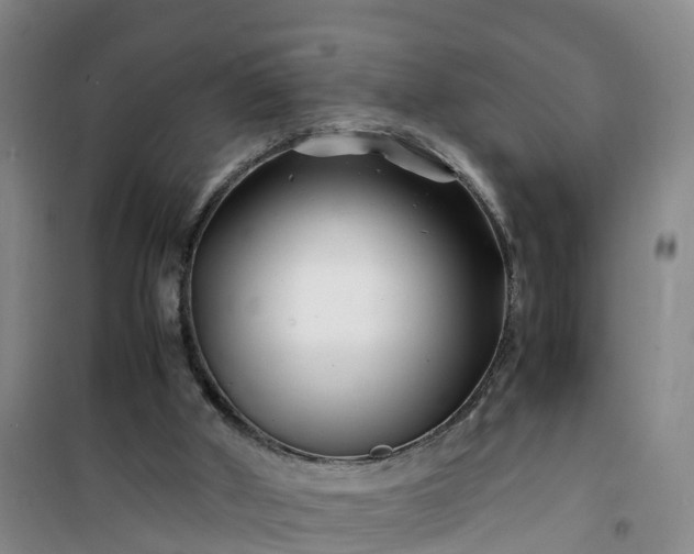 X0000101170010200807111103