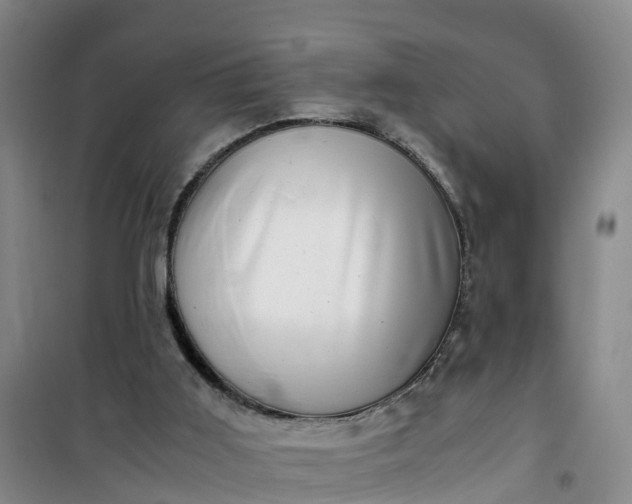 X0000101170011200807111103