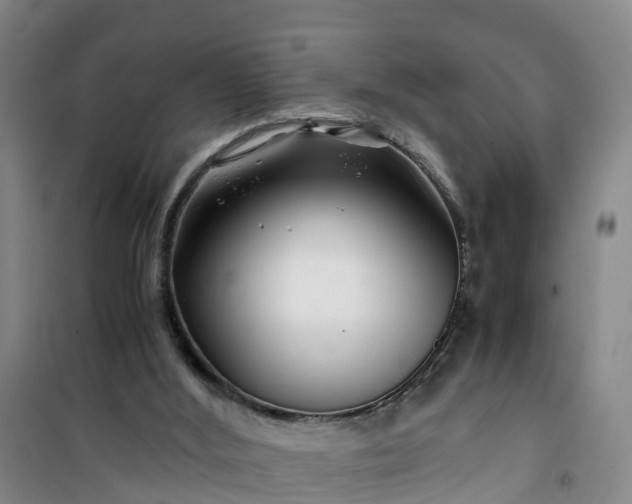 X0000101170012200807111103