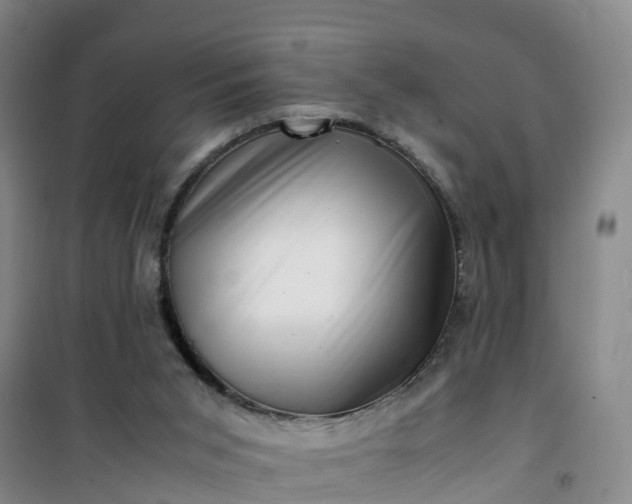 X0000101170015200807111103