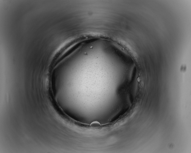 X0000101170016200807111103
