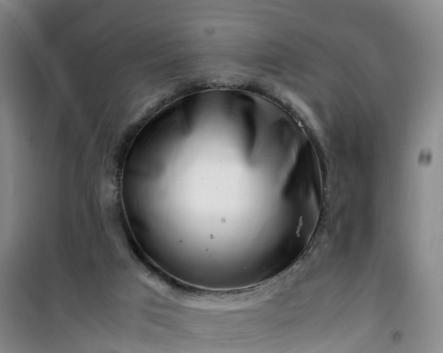 X0000101170017200807111103