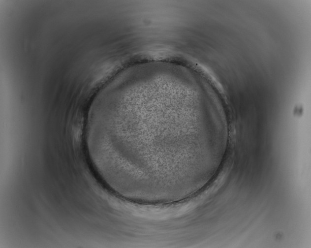 X0000101170018200807111103