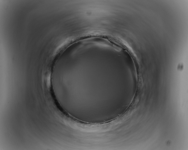 X0000101170019200807111102