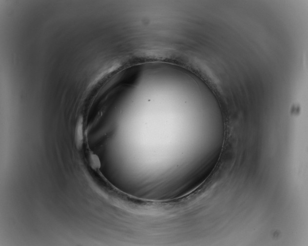 X0000101170020200807111102