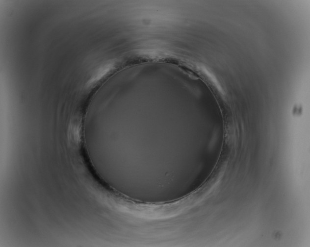 X0000101170023200807111102