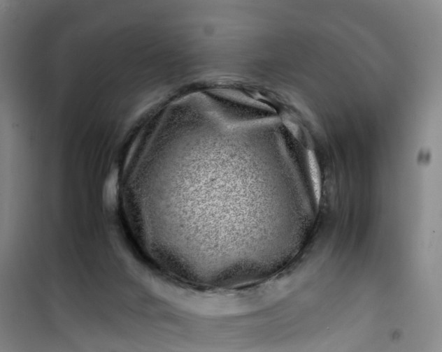 X0000101170024200807111102