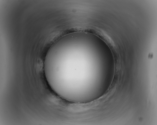 X0000101170025200807111102