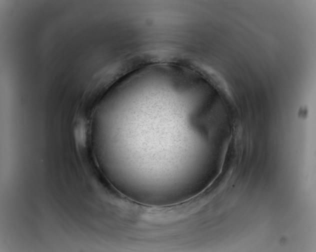 X0000101170026200807111102