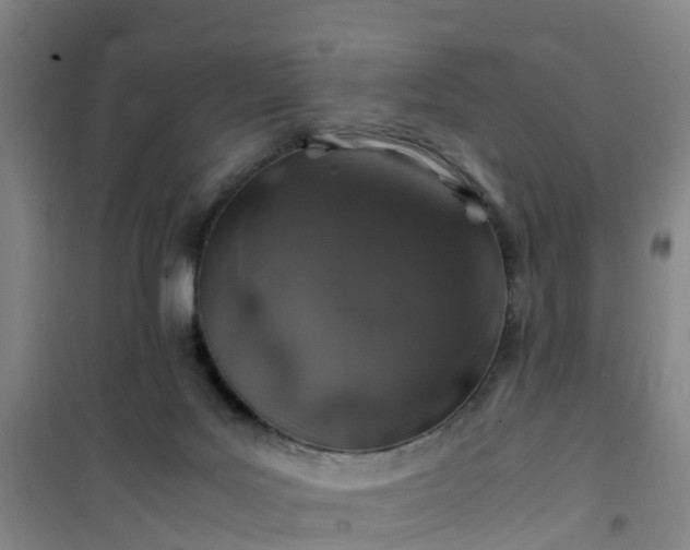 X0000101170027200807111102