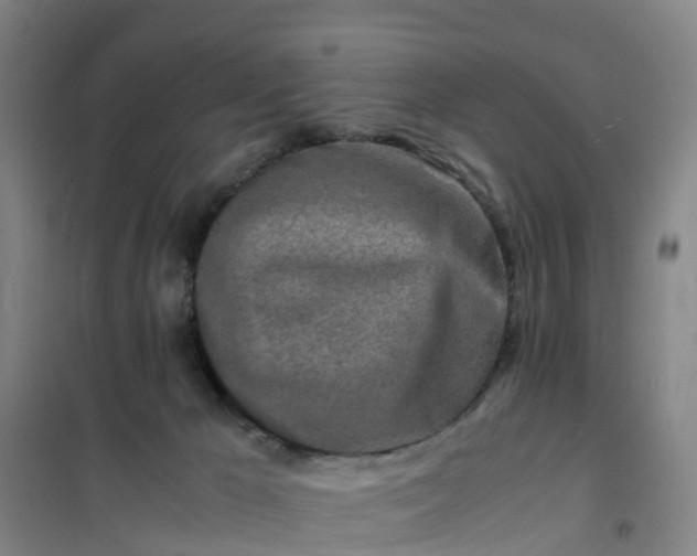 X0000101170029200807111102