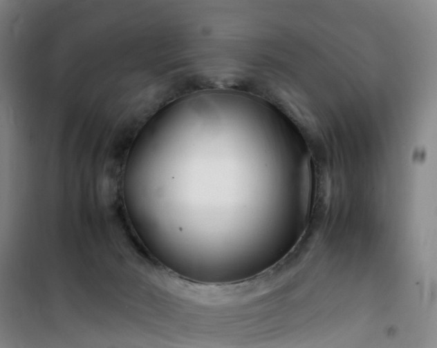 X0000101170030200807111102