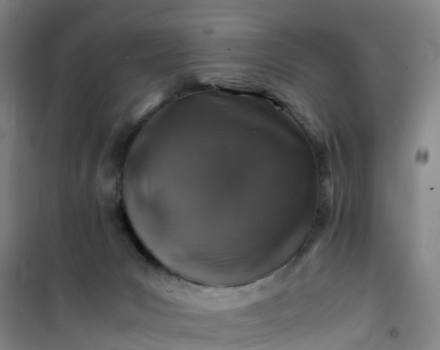 X0000101170031200807111102
