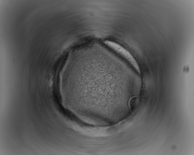 X0000101170032200807111102