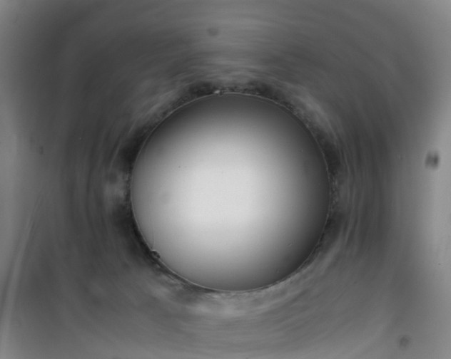 X0000101170033200807111102