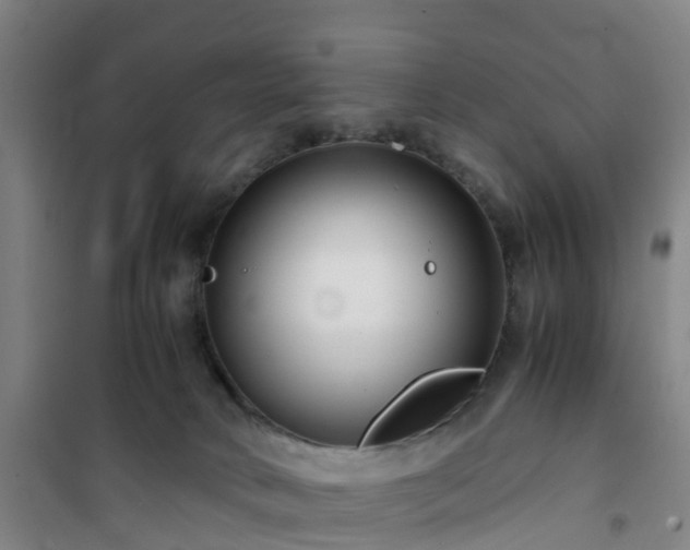 X0000101170034200807111102