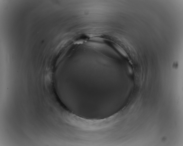 X0000101170035200807111102