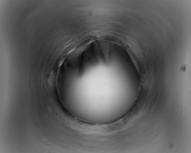 X0000101170036200807111102