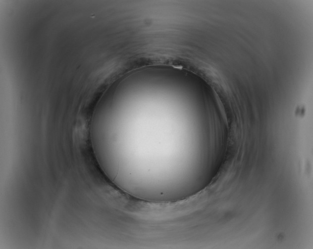X0000101170037200807111102