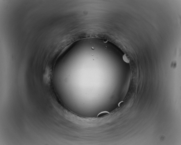 X0000101170038200807111102