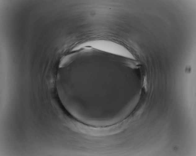 X0000101170039200807111102