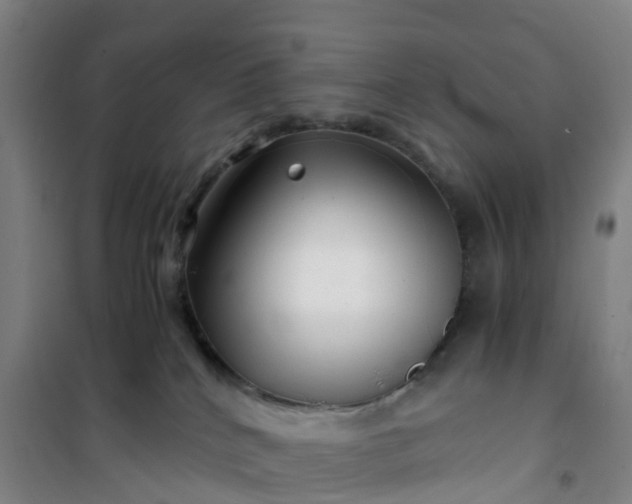 X0000101170040200807111102