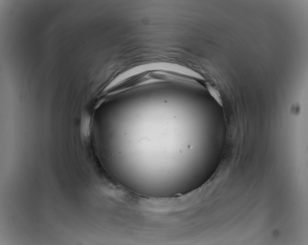 X0000101170041200807111102