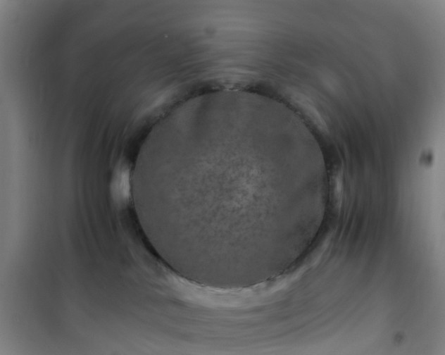 X0000101170042200807111102