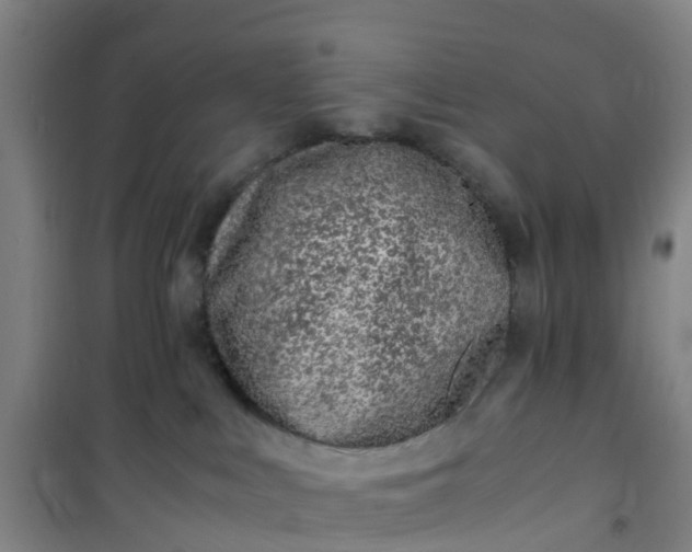 X0000101170043200807111102