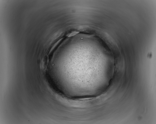 X0000101170044200807111102