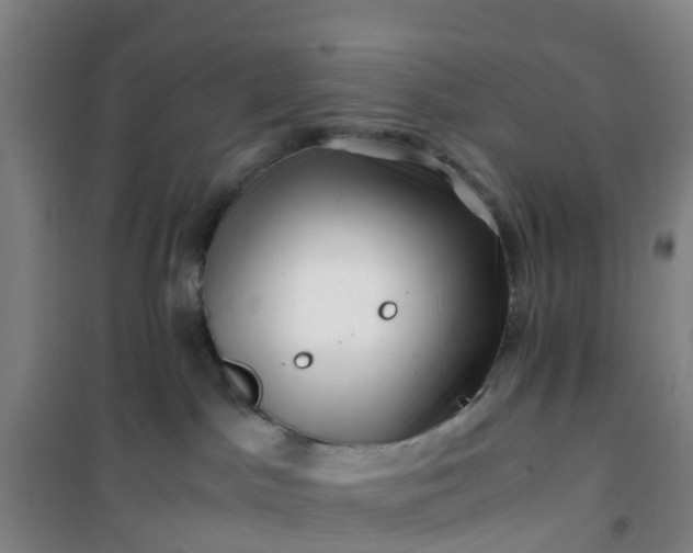X0000101170045200807111102
