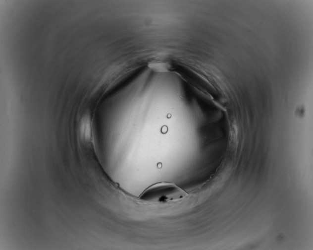 X0000101170046200807111102