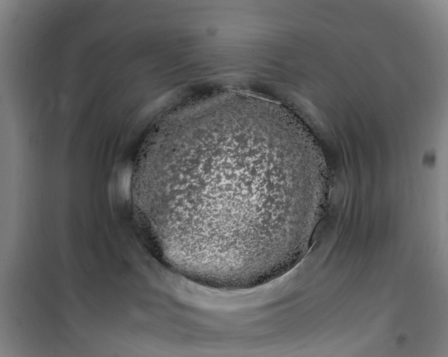 X0000101170047200807111102