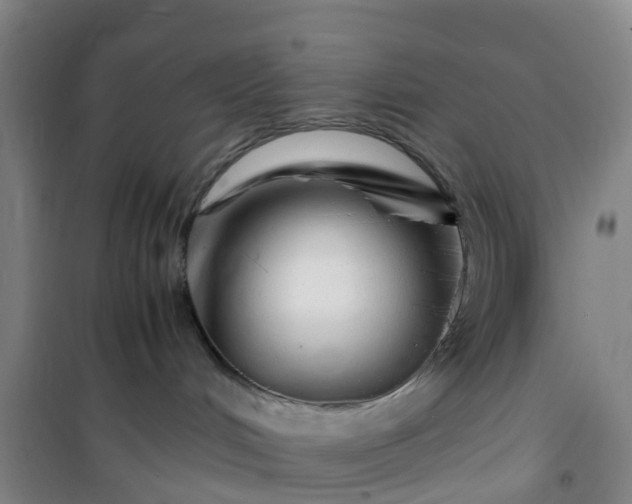 X0000101170048200807111102