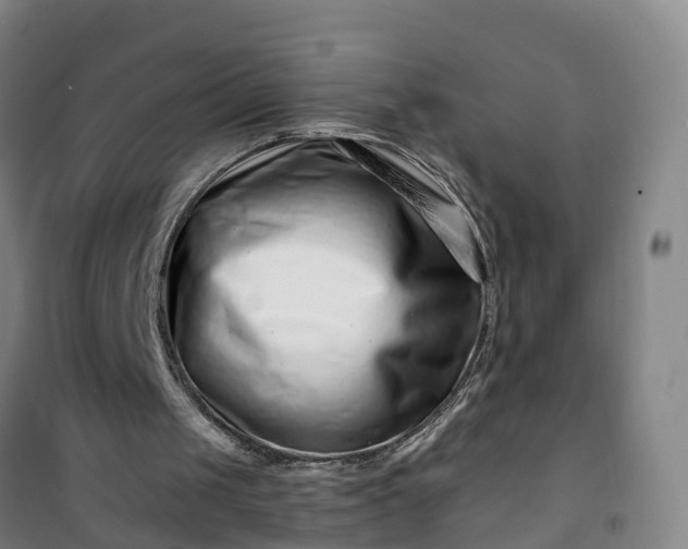X0000101170049200807111101