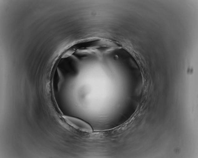 X0000101170050200807111101