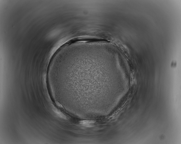 X0000101170051200807111101