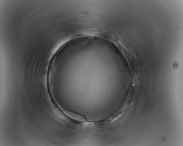 X0000101170052200807111101